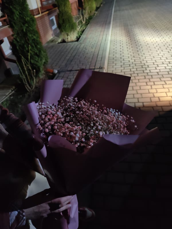 Delivery photos · Uzhgorod