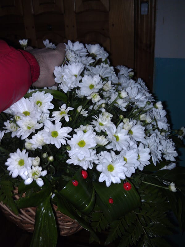Delivery photos · Vinnitsa