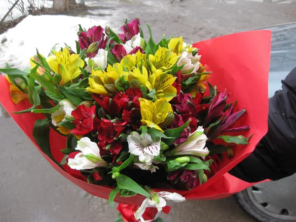 Delivery photos · Vinnitsa