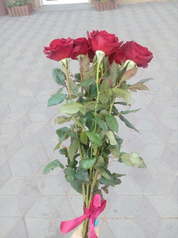 Delivery photos · Vinnitsa