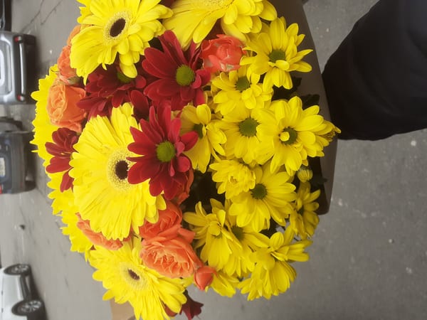 Delivery photos · Vishnevoe