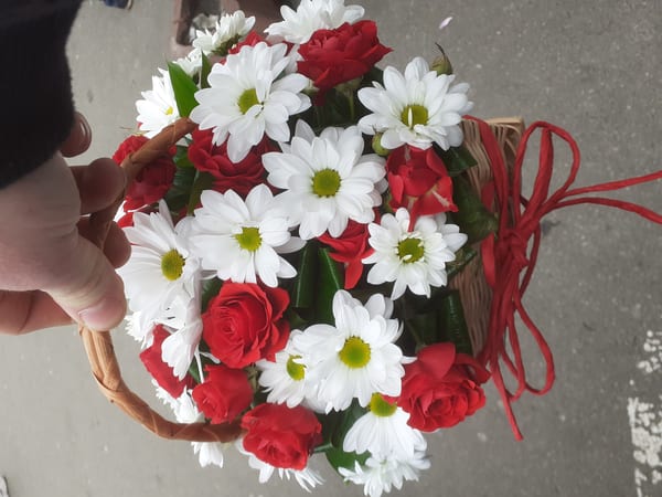 Delivery photos · Vishnevoe
