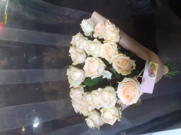 Delivery photos · Vishnevoe