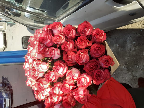 Delivery photos · Vishnevoe