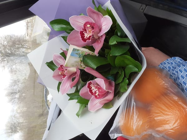 Delivery photos · Vishnevoe
