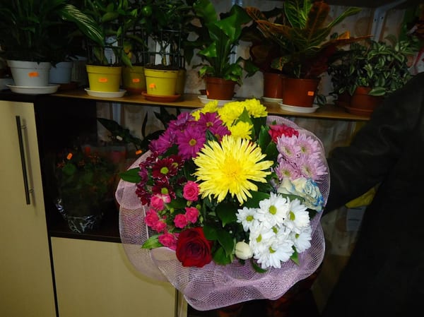 Delivery photos · Zhmerinka