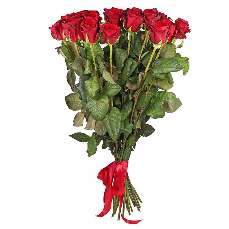 25 roses 100 cm – flower delivery in Cork (Ireland)