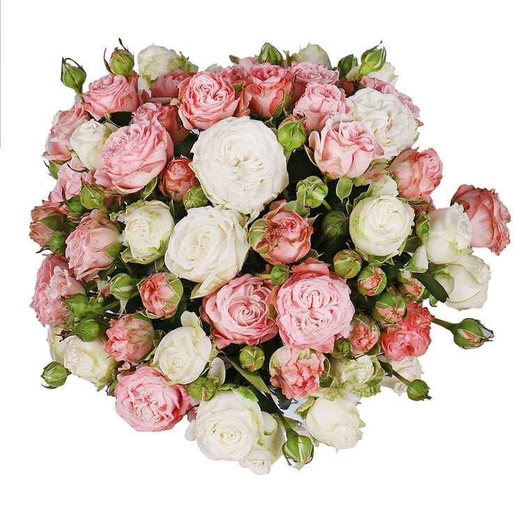 Spray roses in a box – flower delivery in Kirovsk (Ukraine)