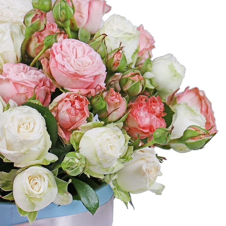 Spray roses in a box – flower delivery in Kirovsk (Ukraine)