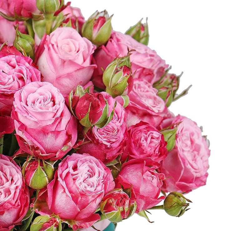 Pink spray roses in a box – flower delivery in Starobelsk