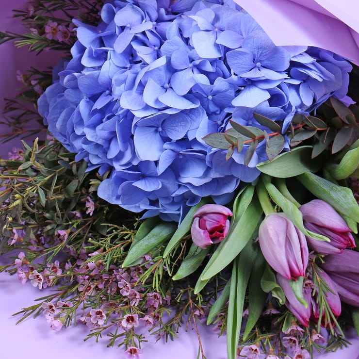 Голубая гортензия и тюльпаны – доставка цветов в Вольфсбург