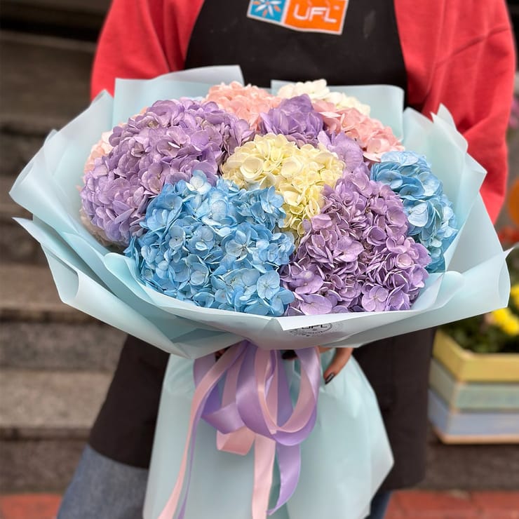 Bouquet of 11 hydrangeas – flower delivery in Gyrbovets