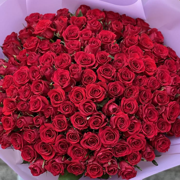 Promo! 101 red roses – flower delivery in Volnyansk