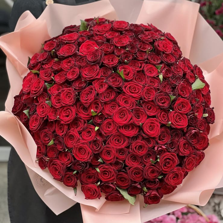 151 red roses – flower delivery in Volnyansk