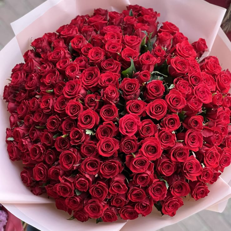 151 red roses – flower delivery in Volnyansk