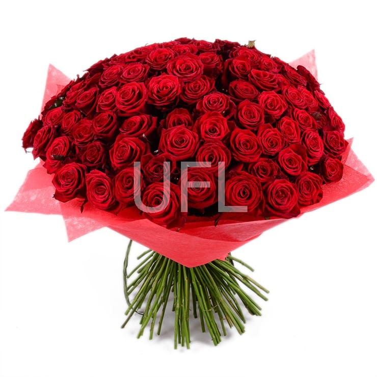 101 red rose 50cm, Nikopol (Ukraine)