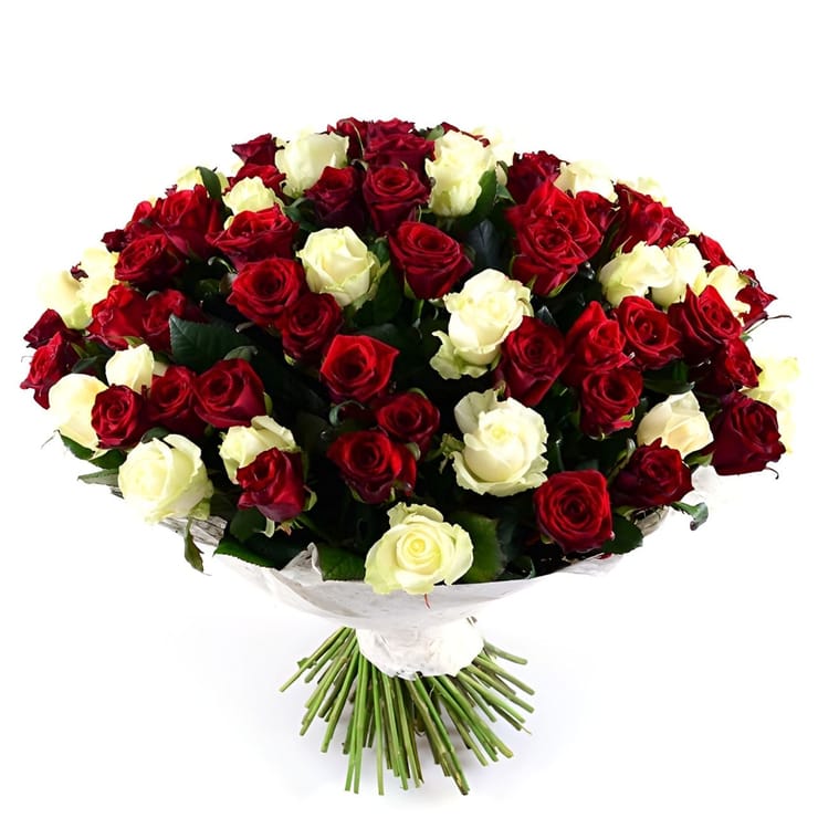 101 red-and-white roses – flower delivery in Volnyansk