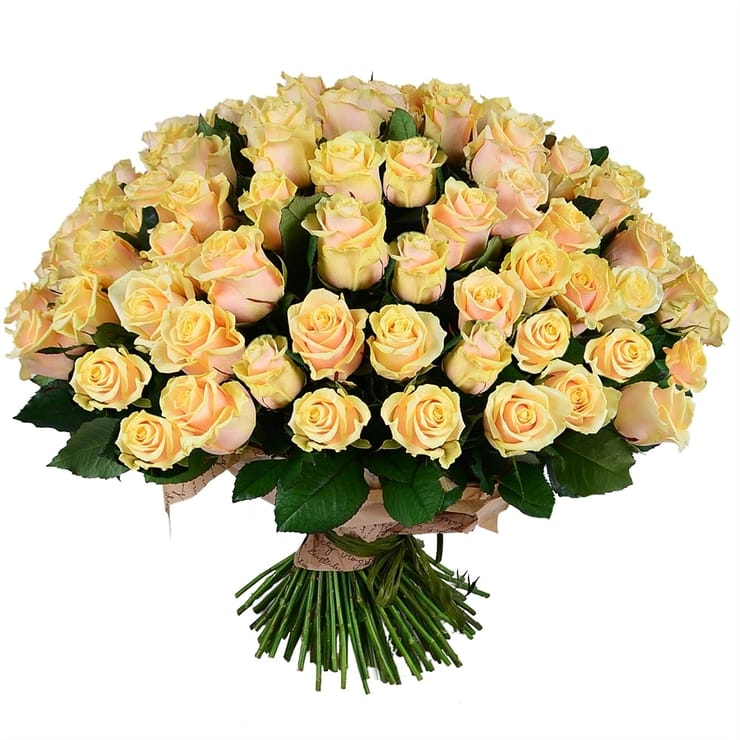 101 creamy roses – flower delivery in Volnyansk
