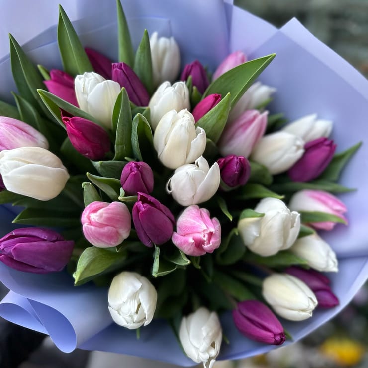 35 тюльпанів мікс – доставка квітів у Санта-Венера