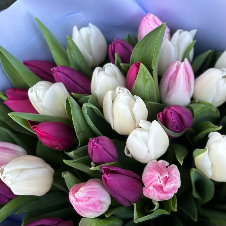 35 тюльпанів мікс – доставка квітів у Полтава