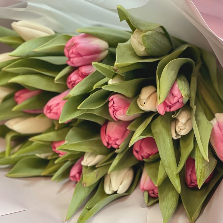 25 білих і рожевих тюльпанів – доставка квітів у Марієтта