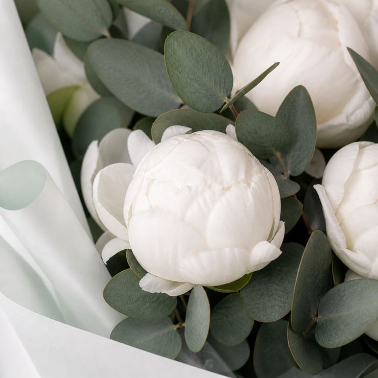7 white peonies – flower delivery in Remetschwil