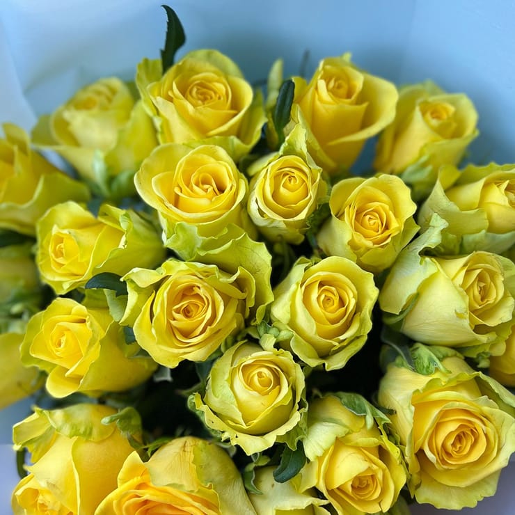 25 yellow roses – flower delivery in Kirovsk (Ukraine)