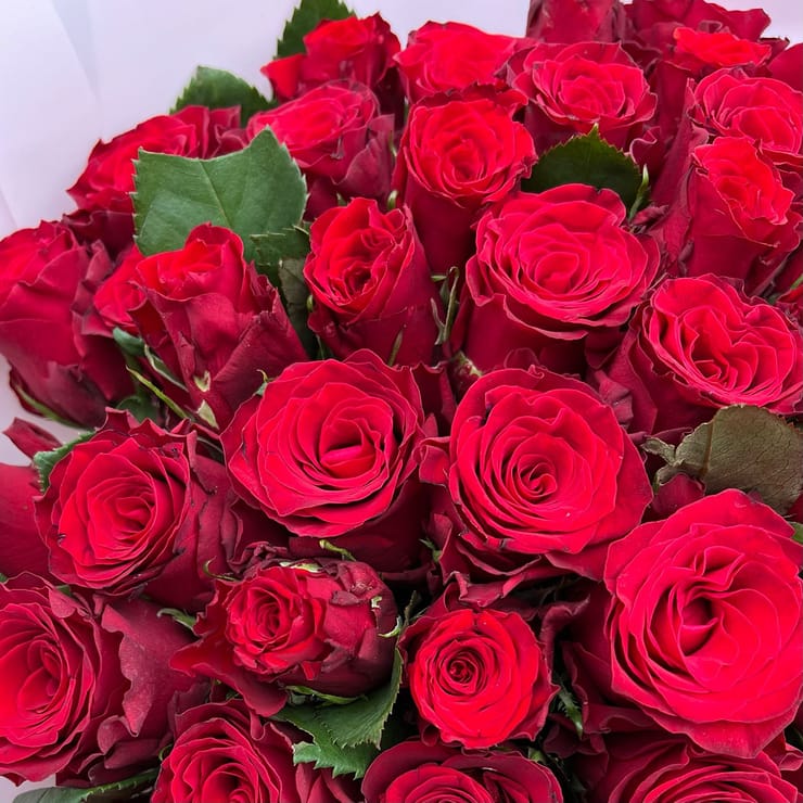 Акція! 25 червоних троянд – доставка квітів у Червоноармійськ