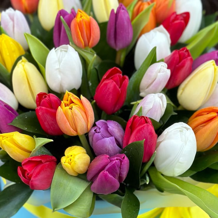 Present spring (45 pcs) – flower delivery in Madona