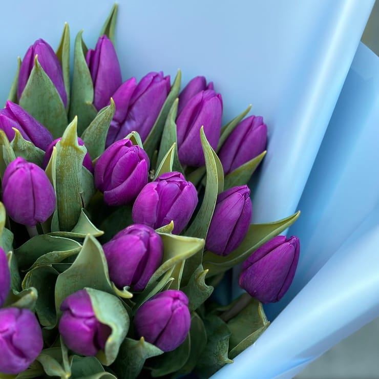 29 purple tulips – flower delivery in Sinajana