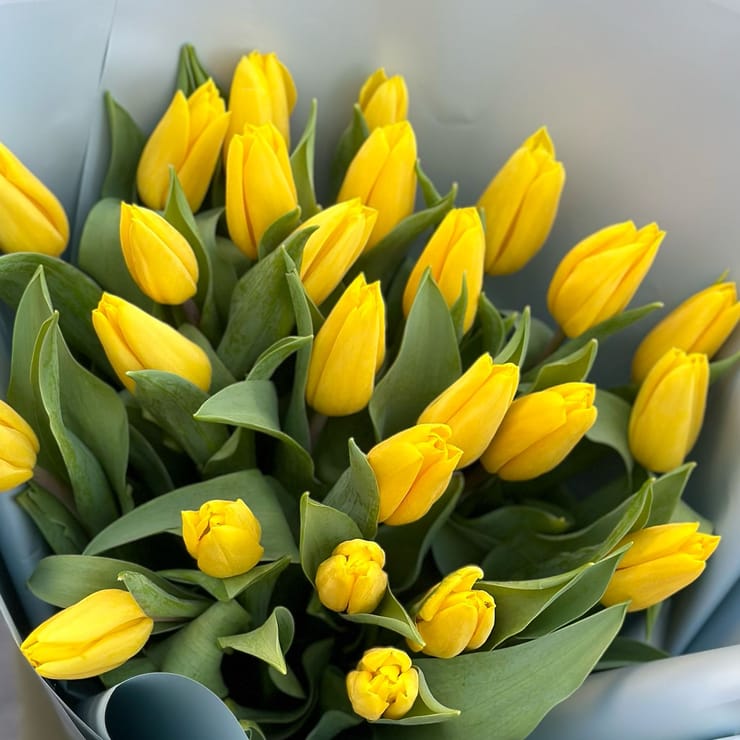 25 жовтих тюльпанів – доставка квітів у Базесда