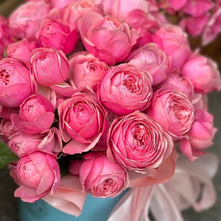 Пионовидные розы в коробке – доставка цветов в Фано