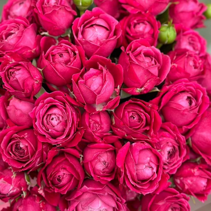 Композиція троянди в коробці 9шт – доставка квітів у Амритсар