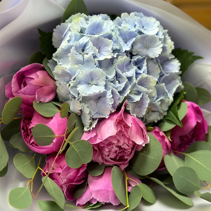 Квітуча симфонія гортензії з півоніями 🌸 – доставка квітів у Нярінга