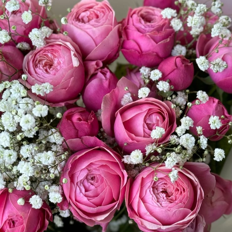 Pink dreams – flower delivery in Starobelsk