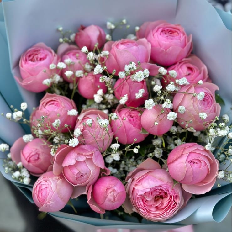 Pink dreams – flower delivery in Starobelsk