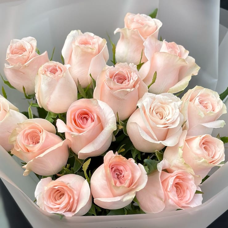 15 троянд Кімберлі – доставка квітів у Софіївська Борщаговка