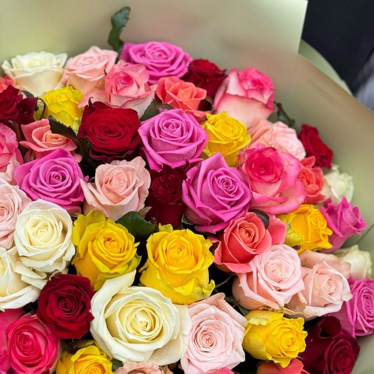 51 різнокольорова троянда – доставка квітів у Червоноармійськ