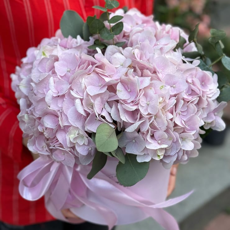 Рожеві гортензії в коробці – доставка квітів у Аваруа