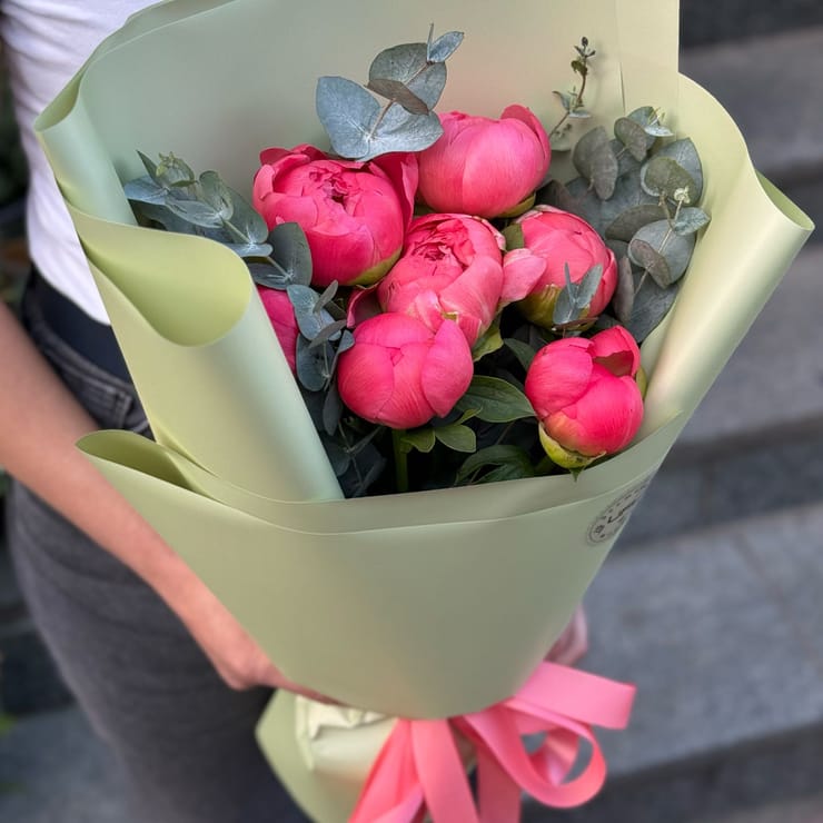 7 coral peonies, Ithaca (the USA)