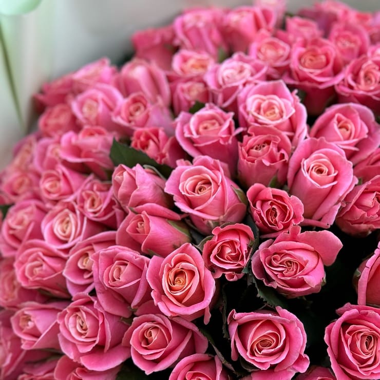 101 coral roses – flower delivery in Yubileynoye (Dnepropetrovsk, Ukraine)