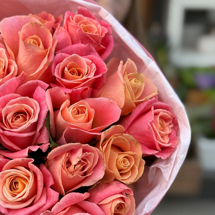 25 коралловых роз – доставка цветов в Завалла