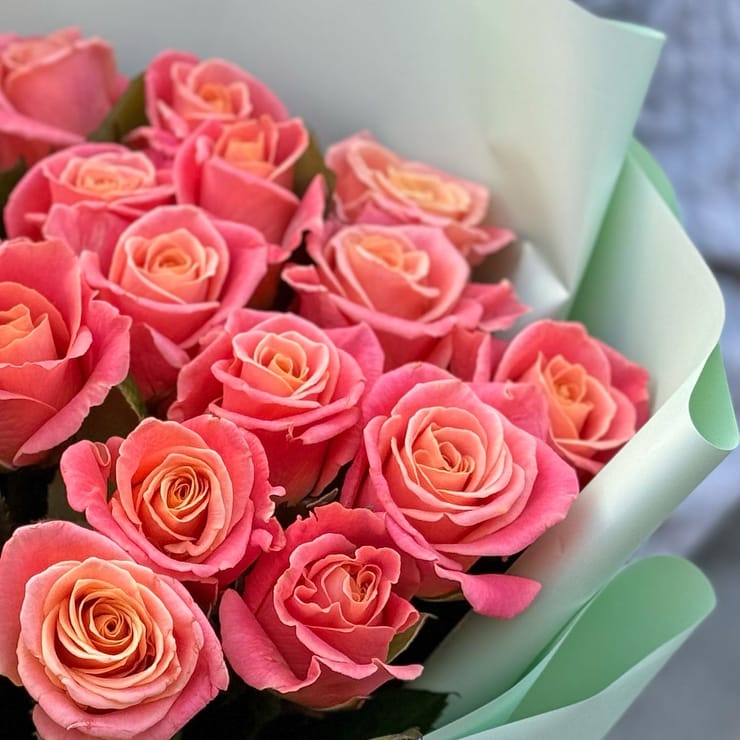 25 coral roses – flower delivery in Yubileynoye (Dnepropetrovsk, Ukraine)