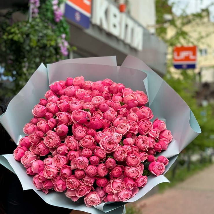 51 рожева піоновидна троянда – доставка квітів у Носівка