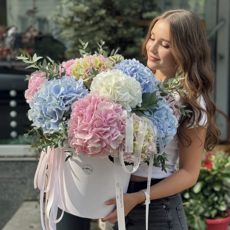 Hydrangea mix in a box XXL – flower delivery in Miami