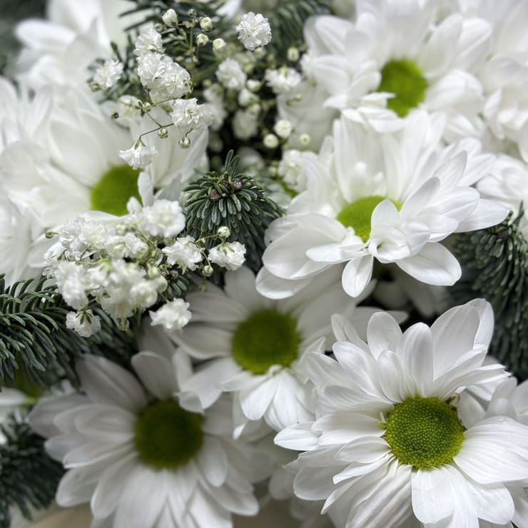 Сніжне диво – доставка квітів у Ретимно