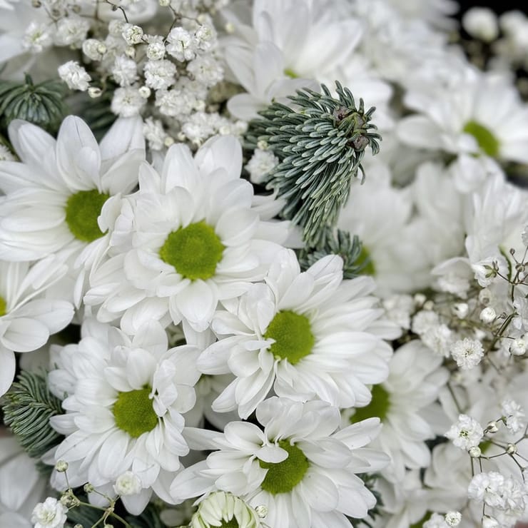 Сніжне диво – доставка квітів у Ретимно