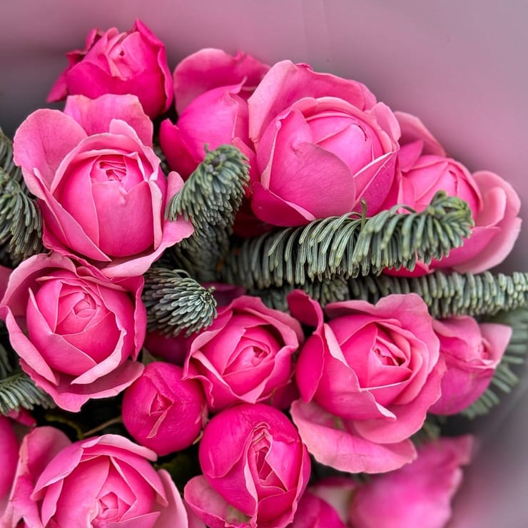 Зимова гармонія – доставка квітів у Гавана