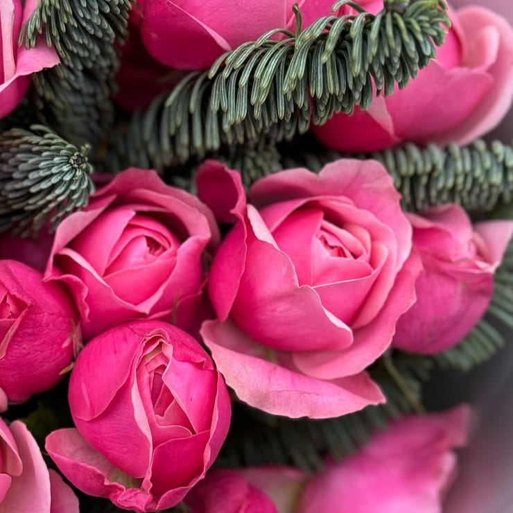 Зимова гармонія – доставка квітів у Гавана