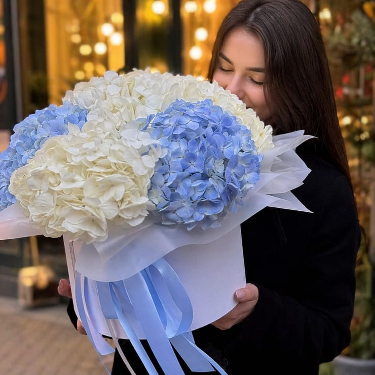 Ніжні гортензії в коробці 5шт – доставка квітів у К'янчіано-Терме